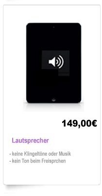 Lautsprecher Reparatur iPad Mini Berlin
